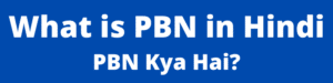 PBN Kya Hai | How to Earn Money with PBN in Hindi 2020